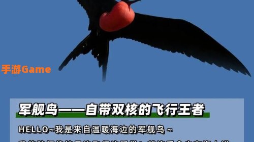 以下哪种动物不仅会夏眠