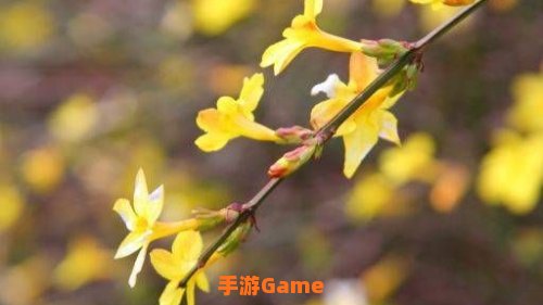 怎么也飞不出花花的世界是什么歌
