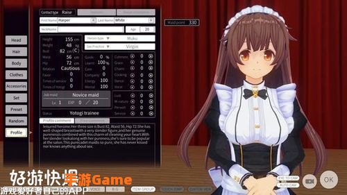 3d定制女仆2汉化