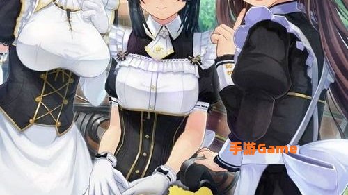 3d定制女仆2汉化